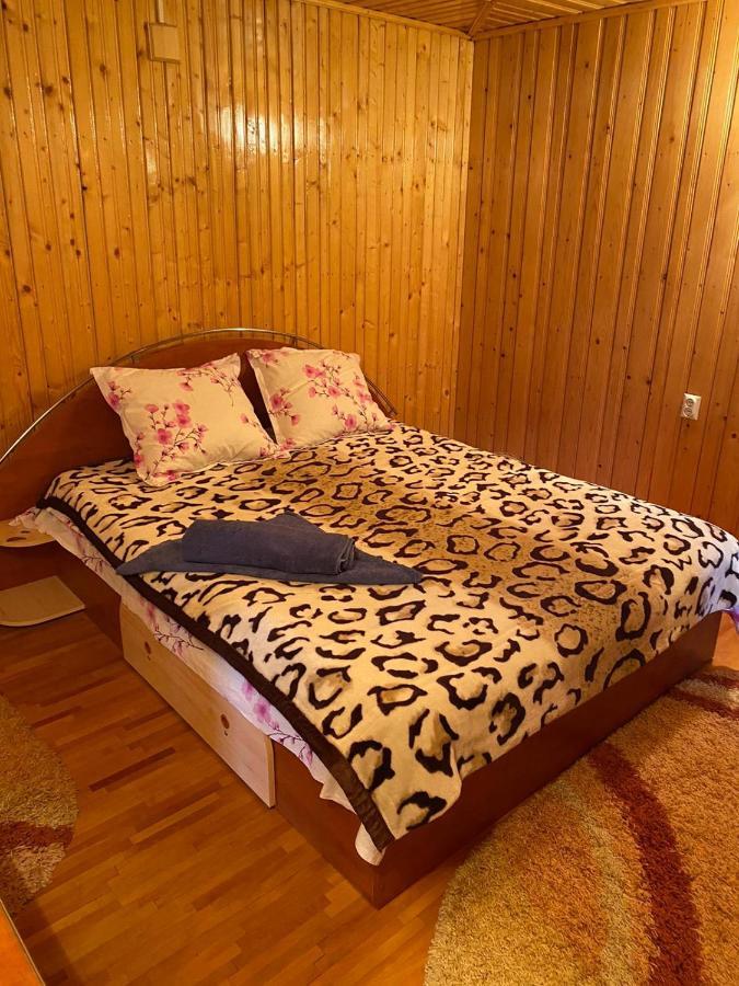 Willa Casa Alesi Dragoslavele Zewnętrze zdjęcie