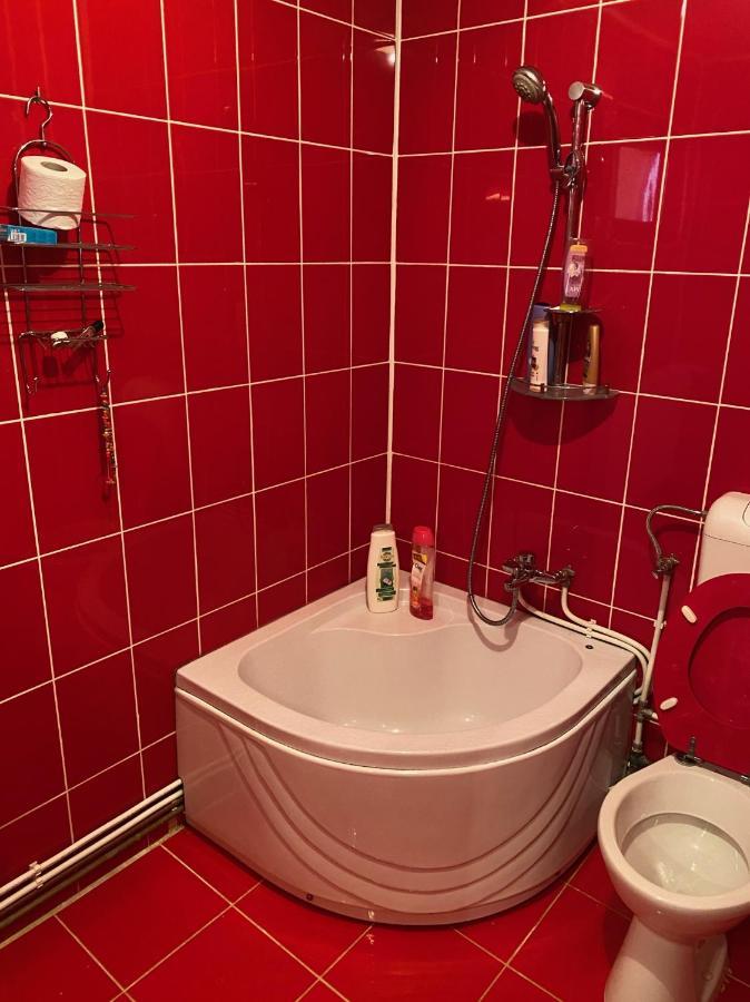 Willa Casa Alesi Dragoslavele Zewnętrze zdjęcie
