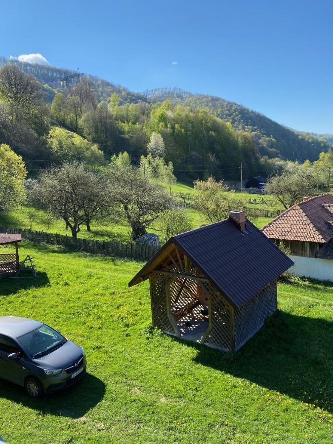 Willa Casa Alesi Dragoslavele Zewnętrze zdjęcie