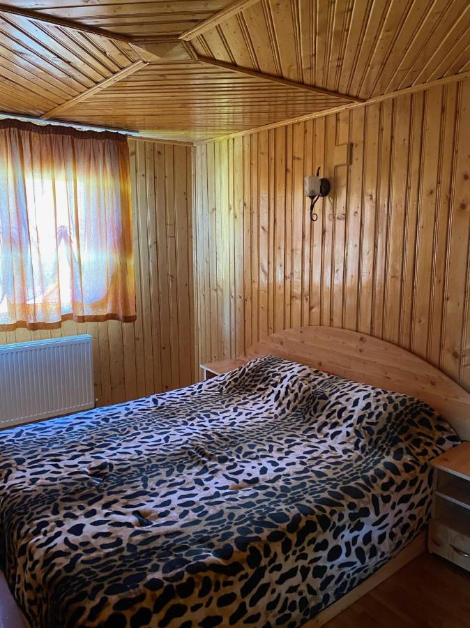 Willa Casa Alesi Dragoslavele Zewnętrze zdjęcie