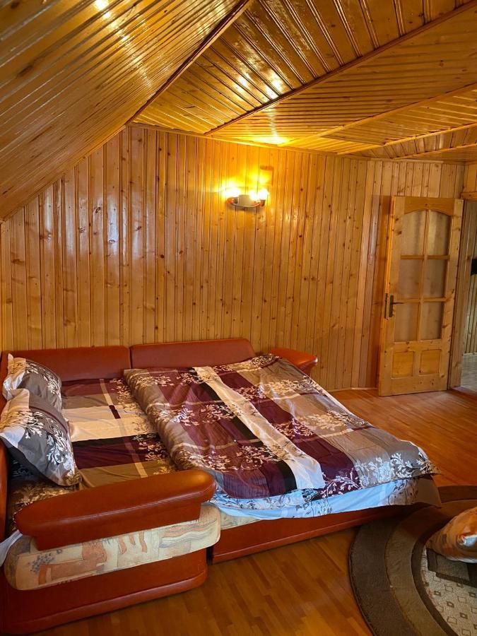 Willa Casa Alesi Dragoslavele Zewnętrze zdjęcie