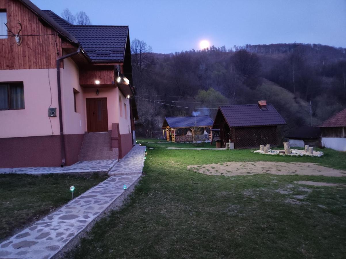 Willa Casa Alesi Dragoslavele Zewnętrze zdjęcie