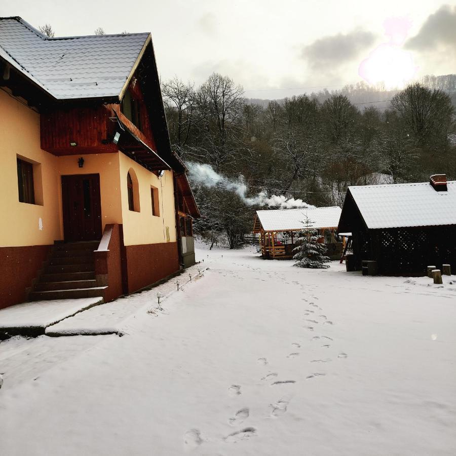 Willa Casa Alesi Dragoslavele Zewnętrze zdjęcie