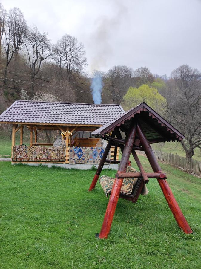 Willa Casa Alesi Dragoslavele Zewnętrze zdjęcie