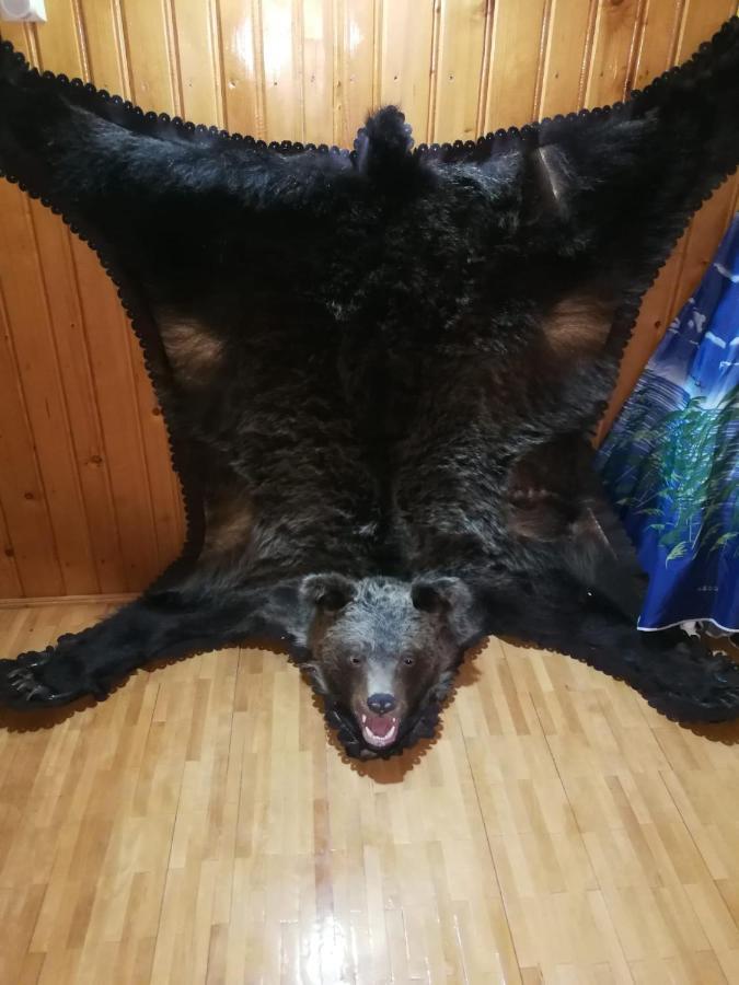 Willa Casa Alesi Dragoslavele Zewnętrze zdjęcie