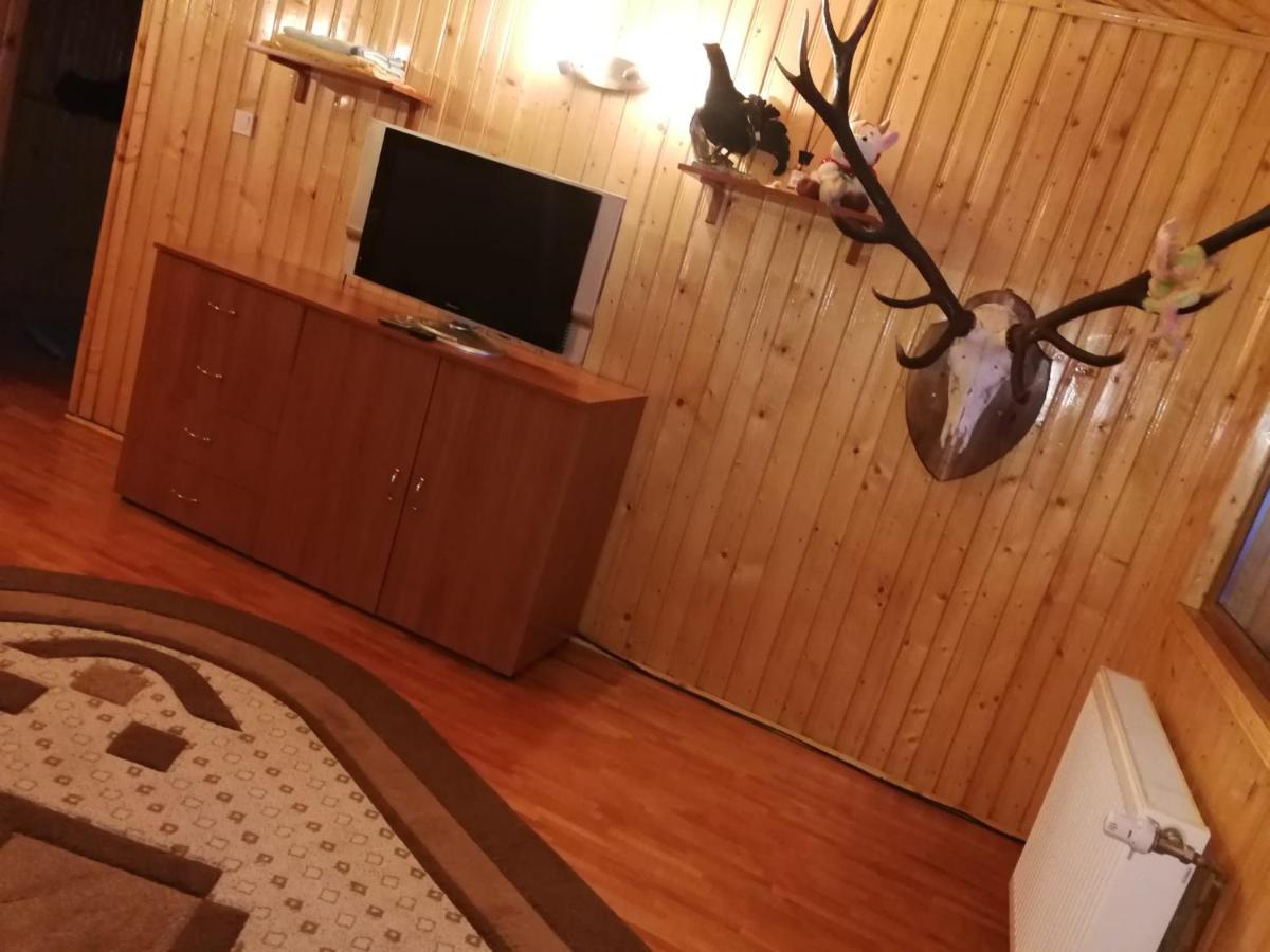 Willa Casa Alesi Dragoslavele Zewnętrze zdjęcie