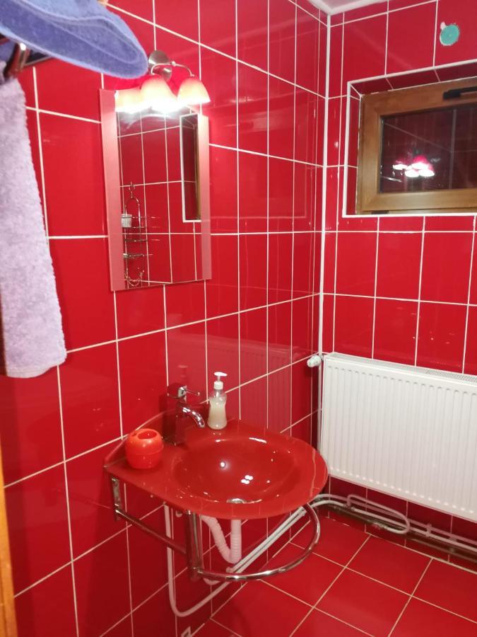 Willa Casa Alesi Dragoslavele Zewnętrze zdjęcie
